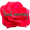 Good morning  10