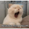 Meme semangat  7