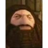 Harry Potter  17
