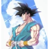 Goku 4 27