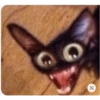 MEOW | gatos 9