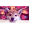 True Love 4 You / Bucin #3 8