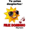Domingo 26