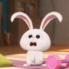 Snowball rabbit 13
