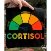 Cortisol  9