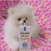 True Love 4 You / Bucin 5