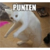 Stiker meme kucing 5