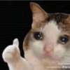 TIKTOK SAD REACTION 10