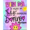 Domingo 20