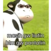 Filter sapi tiktok viral 15