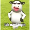 Filter sapi tiktok viral 12