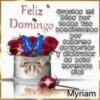 Domingo 24
