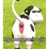 Filter sapi tiktok viral 11