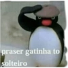 Bololo 12