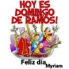 Domingo 5