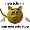amarillitos 14