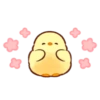 Pollito Floral 15