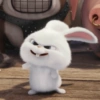 Snowball rabbit 17
