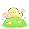 Pollito Floral 9