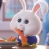 Snowball rabbit 15