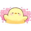 Pollito Floral 17