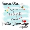 Domingo 25