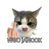 Stiker meme kucing 14