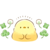 Pollito Floral 20