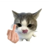 Stiker meme kucing 13
