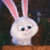 Snowball rabbit 29