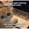 MEME KUCING 10