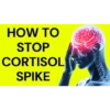 Cortisol  8