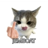 Stiker meme kucing 15