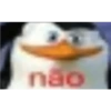 Bololo 24