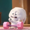Snowball rabbit 18