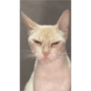 Aaaaaa 16