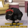 Só Stray Kids - Pack 01 17