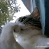 TIKTOK SAD REACTION 6
