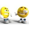 amarillitos 6