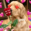 True Love 4 You / Bucin #3 9