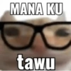 Stiker meme kucing 7