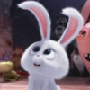 Snowball rabbit 25