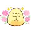 Pollito Floral 16