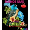 Domingo 7