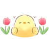Pollito Floral 21