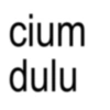 Kata-kata anomali centil genit 20
