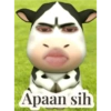 Filter sapi tiktok viral 13