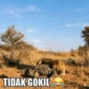 Jomok 14