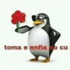 Pinguim donald 5