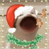 Natal core 10
